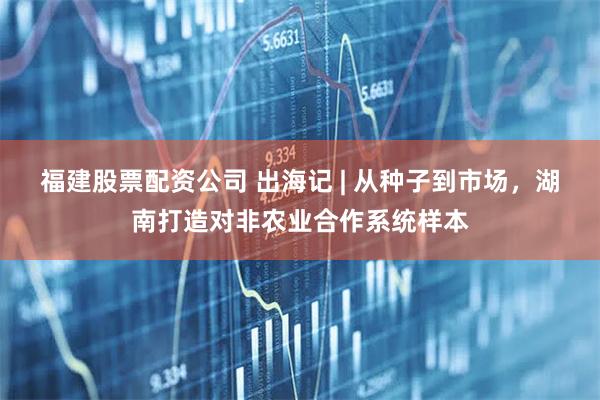 福建股票配资公司 出海记 | 从种子到市场，湖南打造对非农业合作系统样本